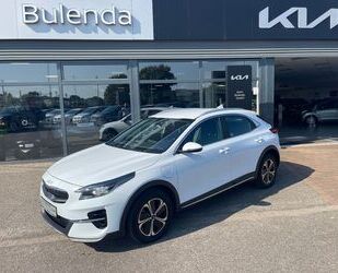 Kia XCeed Gebrauchtwagen