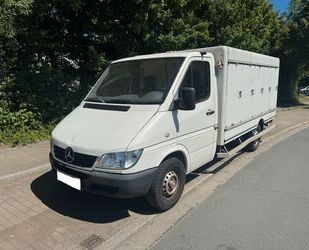 Mercedes-Benz Sprinter Gebrauchtwagen