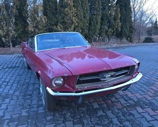 Ford Mustang Gebrauchtwagen