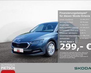 Skoda Octavia Gebrauchtwagen