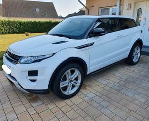Land Rover Range Rover Evoque Gebrauchtwagen