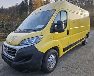 Fiat Ducato Gebrauchtwagen
