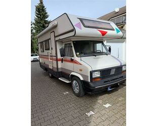 Fiat Ducato Gebrauchtwagen