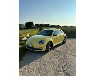 VW Beetle Gebrauchtwagen