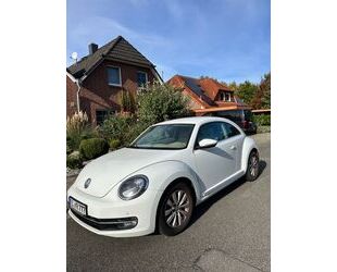 VW Beetle Gebrauchtwagen