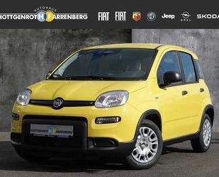 Fiat Panda Gebrauchtwagen