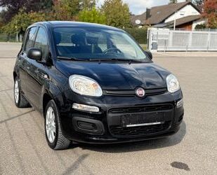 Fiat Panda Gebrauchtwagen