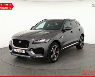 Jaguar F-Pace Gebrauchtwagen