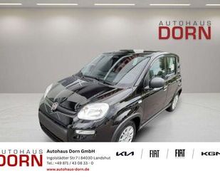 Fiat Panda Gebrauchtwagen
