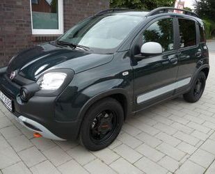 Fiat Panda Gebrauchtwagen