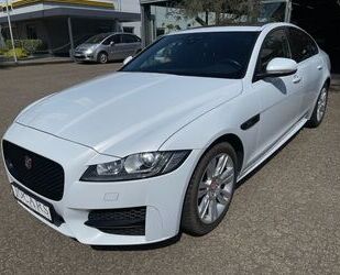 Jaguar XF Gebrauchtwagen