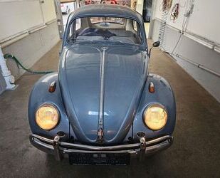 VW Käfer Gebrauchtwagen