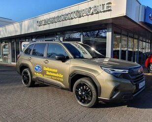 Subaru Forester Gebrauchtwagen