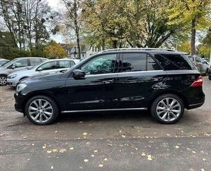 Mercedes-Benz ML 500 Gebrauchtwagen