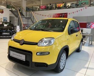 Fiat Panda Gebrauchtwagen