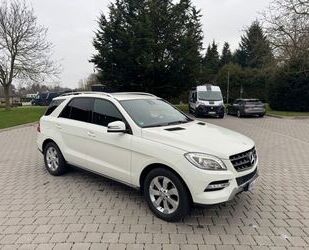 Mercedes-Benz ML 250 Gebrauchtwagen