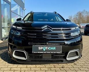 Citroen C5 Aircross Gebrauchtwagen