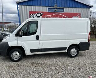 Fiat Ducato Gebrauchtwagen