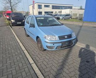 Fiat Punto Gebrauchtwagen