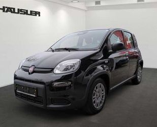 Fiat Panda Gebrauchtwagen
