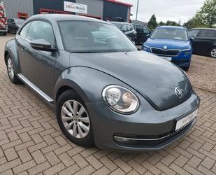 VW Beetle Gebrauchtwagen