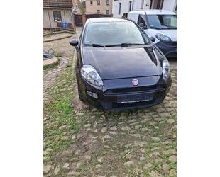 Fiat Punto Gebrauchtwagen