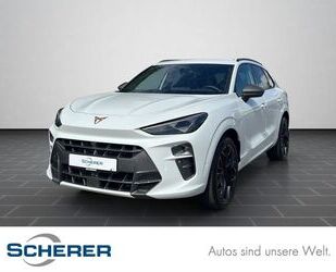 Cupra Terramar Gebrauchtwagen