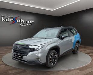 Subaru Forester Gebrauchtwagen