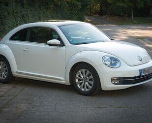 VW Beetle Gebrauchtwagen