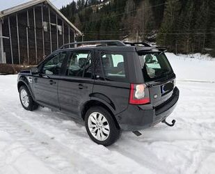 Land Rover Freelander Gebrauchtwagen
