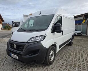 Fiat Ducato Gebrauchtwagen