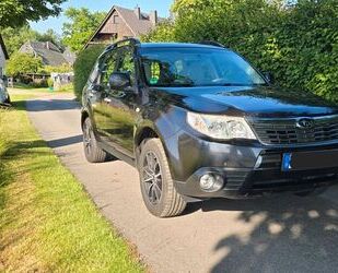 Subaru Forester Gebrauchtwagen