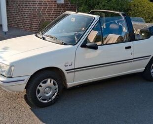 Peugeot 205 Gebrauchtwagen