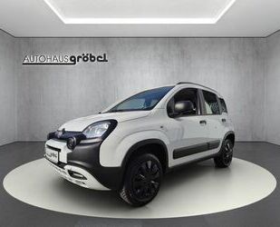 Fiat Panda Gebrauchtwagen