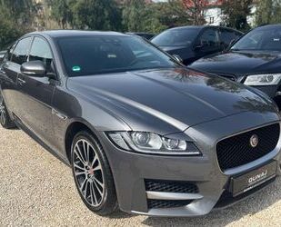 Jaguar XF Gebrauchtwagen