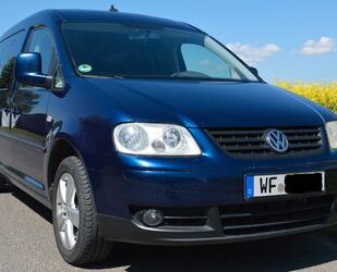 VW Caddy Maxi Gebrauchtwagen
