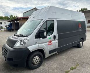 Fiat Ducato Gebrauchtwagen