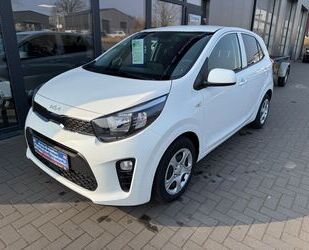 Kia Picanto Gebrauchtwagen