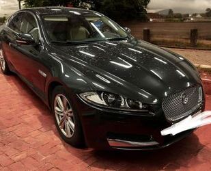 Jaguar XF Gebrauchtwagen