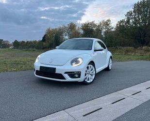 VW Beetle Gebrauchtwagen