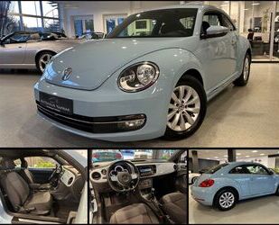 VW Beetle Gebrauchtwagen