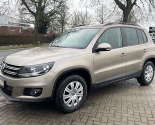 VW Tiguan Gebrauchtwagen