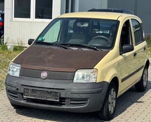 Fiat Panda Gebrauchtwagen