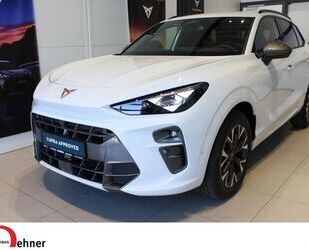 Cupra Terramar Gebrauchtwagen