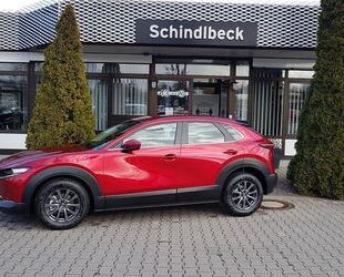 Mazda CX-30 Gebrauchtwagen