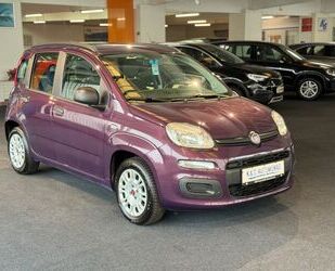 Fiat Panda Gebrauchtwagen