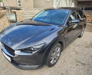 Mazda CX-30 Gebrauchtwagen