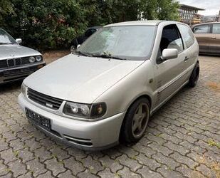VW Polo Gebrauchtwagen