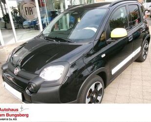 Fiat Panda Gebrauchtwagen