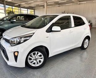 Kia Picanto Gebrauchtwagen